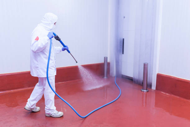 Paint Preparation in Graceville, FL