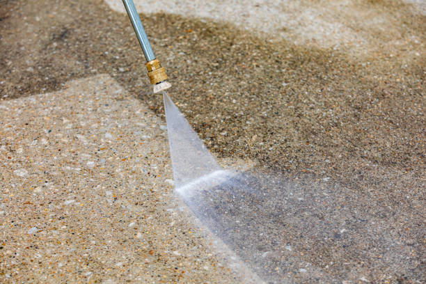 Best Driveway Pressure Washing  in Graceville, FL